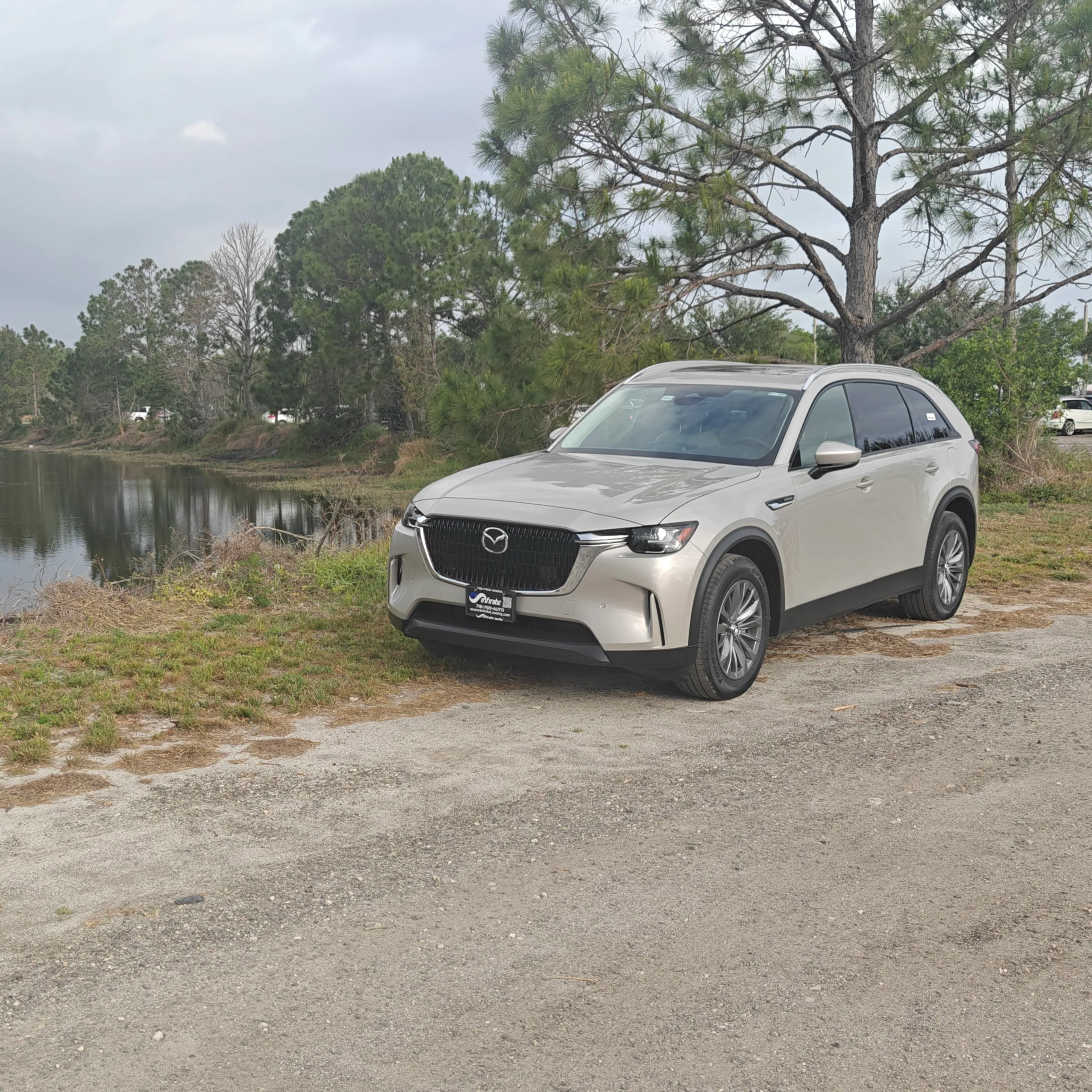 2025 Mazda CX-90 photo 3